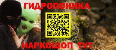 спиды Новозыбков