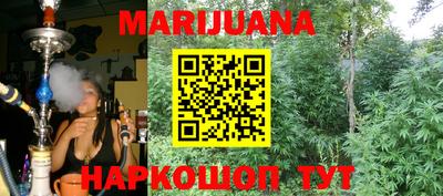 спиды Новозыбков