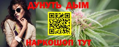 спиды Новозыбков