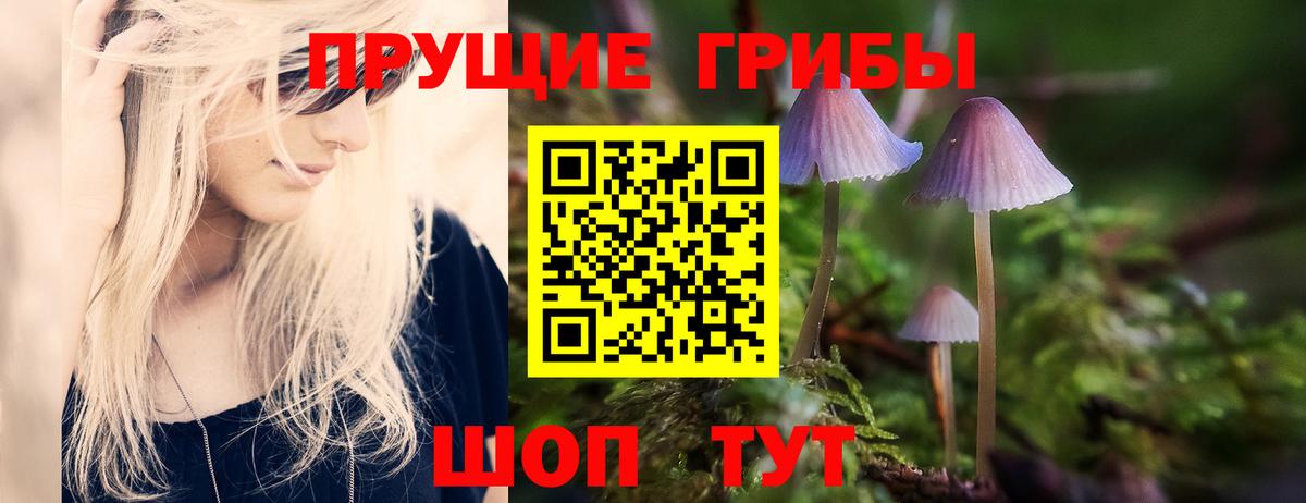 Галлюциногенные грибы Magic Shrooms  Вход с VPN  Улан-Удэ  Псилоцибиновые грибы Psilocybe 